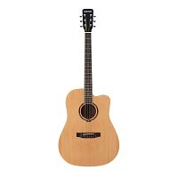 STARSUN DG120c-p Natural