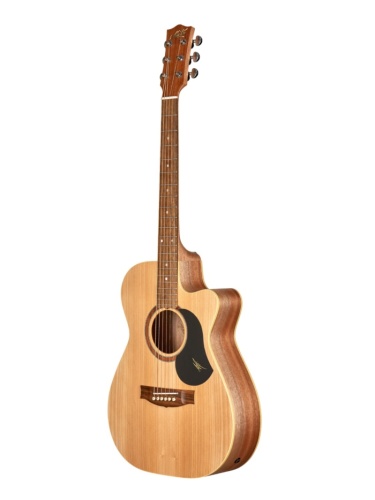 Maton PERFORMER